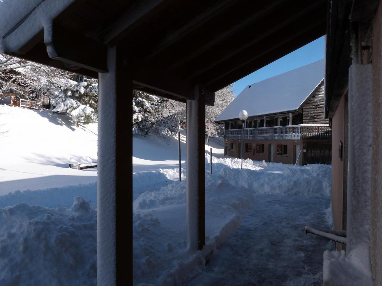 Residence Le Bois De La Reine Super Besse Exterior photo