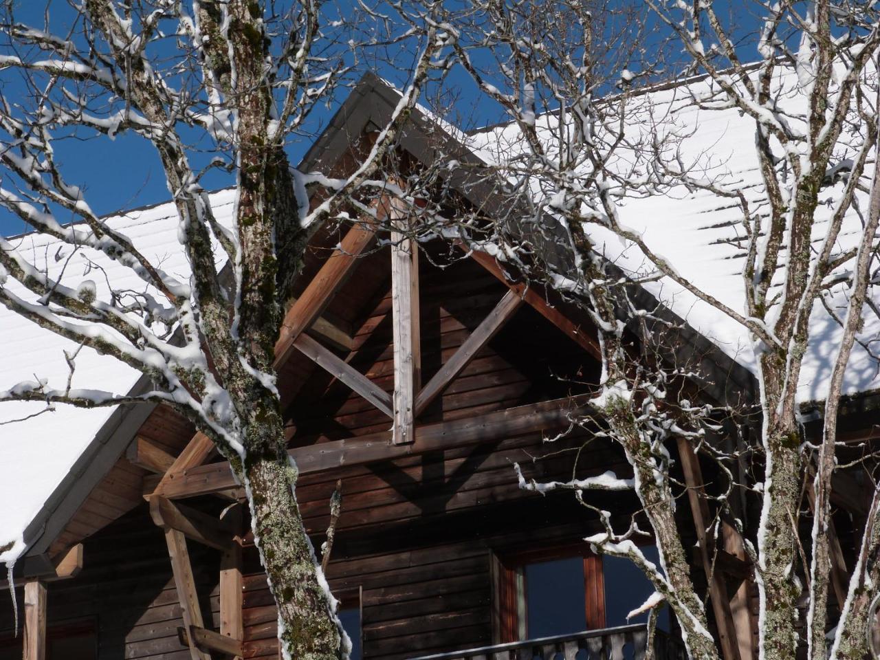 Residence Le Bois De La Reine Super Besse Exterior photo