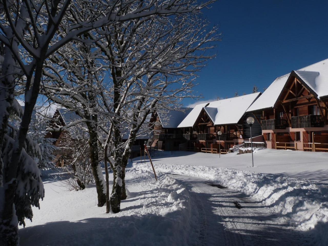 Residence Le Bois De La Reine Super Besse Exterior photo
